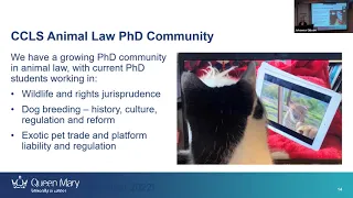 Roundtable in Animal Law: “Why Animals are Fundamental-Rights-Holding Persons” (11/02/22)