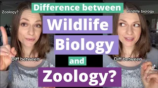 Zoology and Wildlife Biology: Difference between them?
