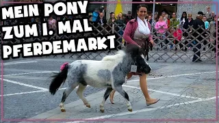 Mein Pony zum ersten Mal am Pferdemarkt - ich stelle sie einer Jury vor!