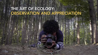 The Art of Ecology: Observation and appreciation