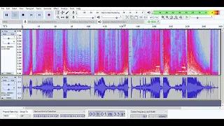 New Minecraft disc: FIVE as viewed in Audacity. With Spectrogram.