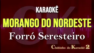 Forró Seresteiro - Morango de nordeste - Karaokê FL