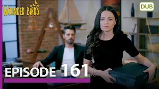 Wounded Birds Episode 161 - Urdu Dubbed | Turkish Drama