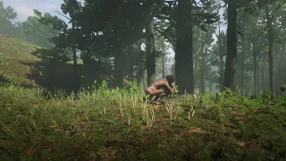 RDR2 - Yes you can catch a Werewolf but it will happen