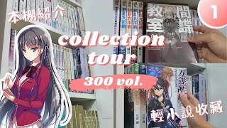 first year of manga and light novel collection (300 VOLUMES) // part 1: light novel