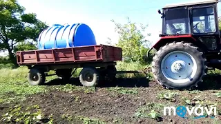 Подсолнечник посеянный експеримениальным путем！обрабатываем (Евролайтингом) 2018год