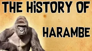 The History Of Harambe