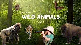 Wild Wonders for Young Explorers| Wild Animals Part-2| Wildlife| Learning for Kids!..