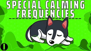 Dog Calming Frequency