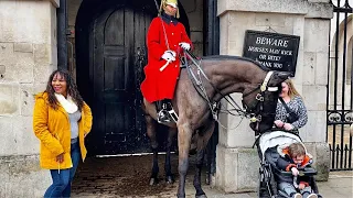 The Most Funny Royal Kings Guards Horse.!