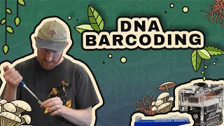 Mushroom DNA Barcoding: Alan Rockefeller