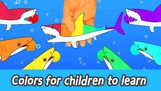 [EN] Colors for children to learn with sharks and whales! animals animation for kidsㅣCoCosToy