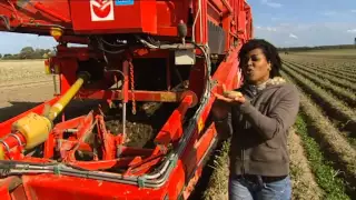 Hoe worden aardappelen verbouwd? | Doen Ze Dat Zo?