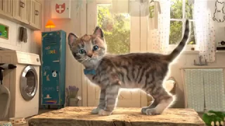 ПРИКЛЮЧЕНИЕ МАЛЕНЬКОГО КОТЕНКА мультик игра для детей как мультфильм про животных котиков #ПУРУМЧАТА