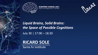 Liquid Brains, Solid Brains: the Space of Possible Cognitions. RICARD SOLE