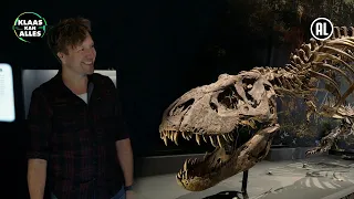 TYRANNOSAURUS REX UIT NOORD-AMERIKA! // Kan Klaas voor één dag paleontoloog zijn?