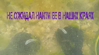 Вот так находка | Подводный поиск с Nokta и Minelab