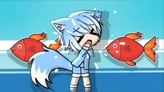 Fish Meme | Gacha Verse