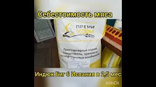 Расчёт себестоимости мяса индюка Биг 6 Испания в 2,5 мес.