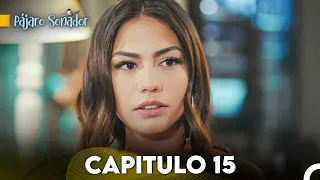 Pájaro soñador - Capitulo 15 (Audio Español) | Erkenci Kuş