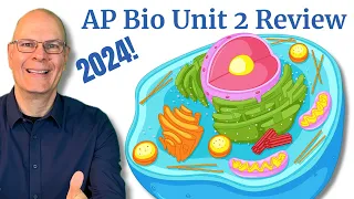 Get Ready for the AP Biology Exam with this Unit 2 Review (Cell Structure and Function)