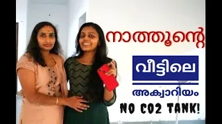 നാത്തൂന്റെ  വീട്ടിലെ അക്വാറിയം!  low tech / No Co2 / planted aquarium / part-1