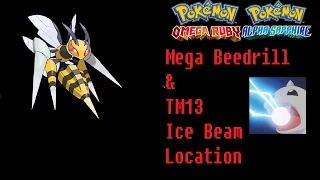 How To Find TM13 Ice Beam & Beedrillite (Mega Beedrill) Pokemon Omega Ruby Alpha Sapphire Location