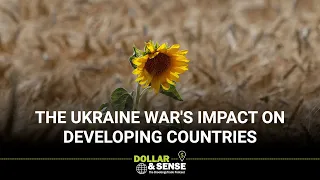 The Ukraine war’s impact on developing countries