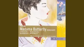 Madame Butterfly: Una nave da guerra