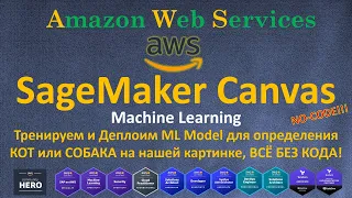 AWS - SageMaker Canvas - КОТ или СОБАКА на картинке, Полный пример ML с НУЛЯ : TRAIN,VALIDATE,DEPLOY