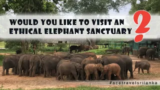 Elephant Transit Home in Udawalawe (Sri Lanka)