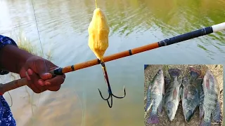 Tilapia fishing | Triple hook fishing | Fishing techniques | Tilapia fish