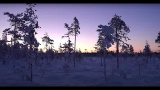 December: Capercaillie Hunting in Winter (-28°C) | Off Grid Cabin Life | Bushcraft