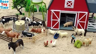 Cattle Transport Truck and Fun Farm Animals Toys Video