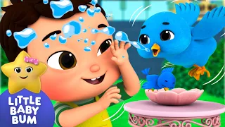 Two Little Dickie Birds ⭐ New Song!  | Little Baby Bum