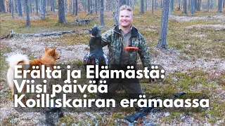 Viisi päivää Koilliskairan erämaassa - Erältä ja Elämästä