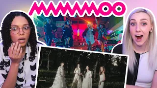 COUPLE REACTS TO 마마무(MAMAMOO)  Wind flower + Where Are We Now MVs