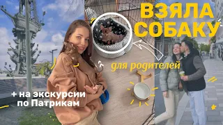 У НАС ТЕПЕРЬ ЕСТЬ СОБАКА ❤️ ВСТРЕЧА С ПОДРУГОЙ || ЛОКАЦИЯ ДЛЯ ФОТО В МОСКВЕ