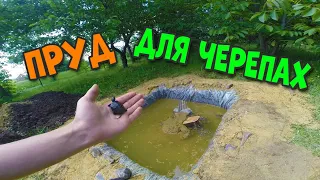 ПРУД ДЛЯ ЧЕРЕПАХ/БОЛОТНЫЕ ЧЕРЕПАХИ