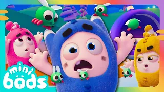 Fly By Night! | Minibods | Preschool Cartoons for Toddlers