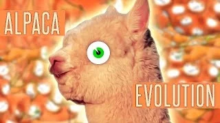 This game will change your life forever.. (Alpaca Evolution)