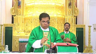 Fourteenth Sunday Of Ordinary Time - 4 July 2021 7:30 AM - Fr. Peter Fernandes