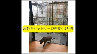 【DIY】屋外キャットケージを「安く1万円」「自作」「出入り可能」（幅2m／高さ2m等）