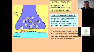 Дубынин МФК весна 2021 Химия мозга 3 синапс