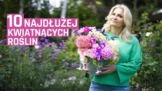 10 najdłużej kwitnących roślin w ogrodzie