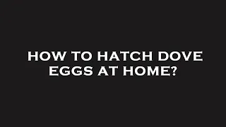 How to hatch dove eggs at home?