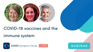 COVID vaccines and the immune system
