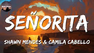 🎶 Shawn Mendes, Camila Cabello - Señorita || Kali Uchis, NewJeans, Céline Dion (Mix)