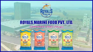 Royals Marine Food Pvt Ltd Corporate Video | Delight Media & Technologies | Shrimp Feed Company
