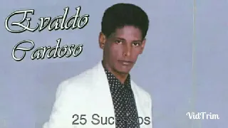 EVALDO CARDOSO - OS 25 GRANDES SUCESSOS